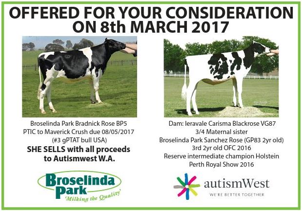 Fundraising auction for Autism West on 8 May 2017